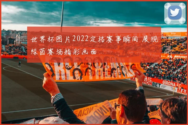 世界杯图片2022定格赛事瞬间 展现绿茵赛场精彩画面