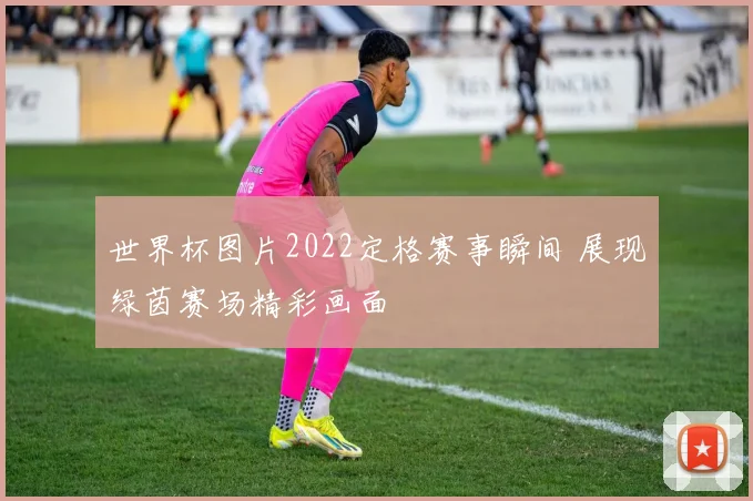 世界杯图片2022定格赛事瞬间 展现绿茵赛场精彩画面