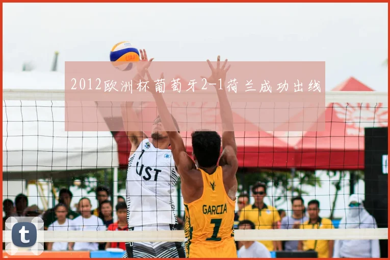 2012欧洲杯葡萄牙2-1荷兰成功出线