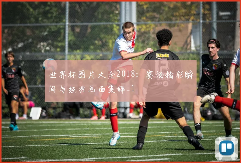 世界杯图片大全2018:赛场精彩瞬间与经典画面集锦_1