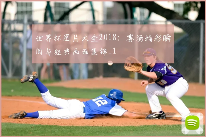 世界杯图片大全2018：赛场精彩瞬间与经典画面集锦_1