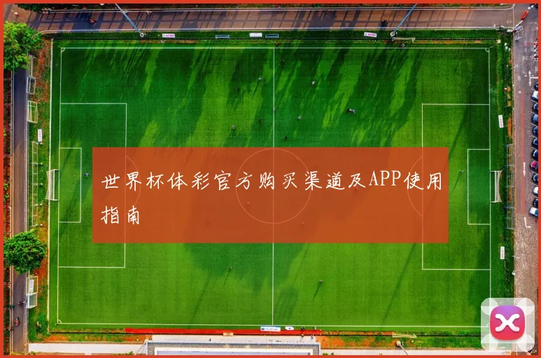 世界杯体彩官方购买渠道及APP使用指南