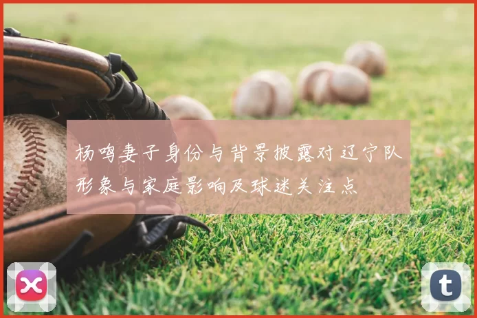 杨鸣妻子身份与背景披露对辽宁队形象与家庭影响及球迷关注点