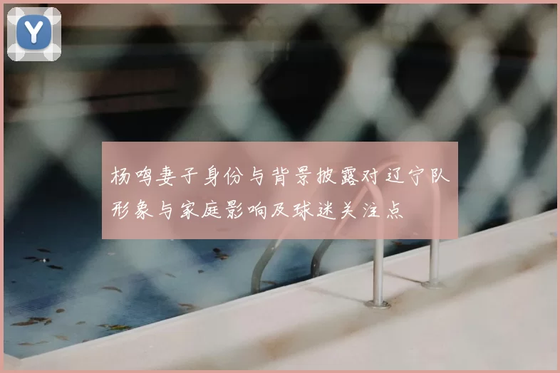 杨鸣妻子身份与背景披露对辽宁队形象与家庭影响及球迷关注点