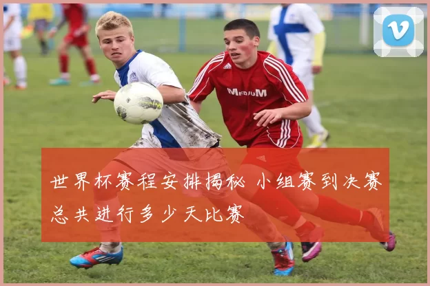 世界杯赛程安排揭秘 小组赛到决赛总共进行多少天比赛